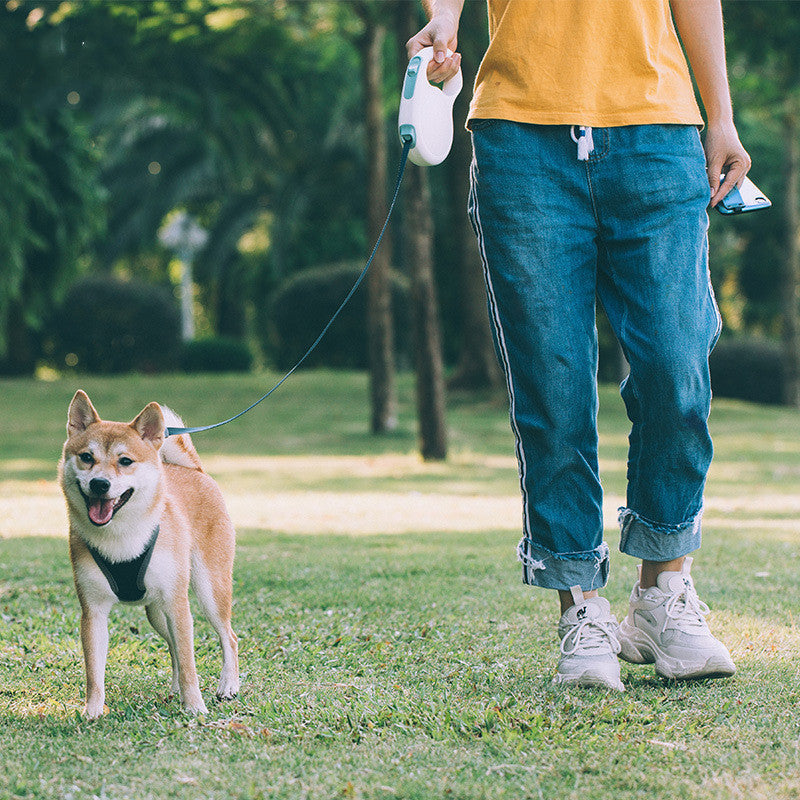 Experience Freedom on Every Walk with Our Pet Retractable Leash